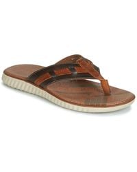 André Aragosta Flip Flops / Sandals (shoes) - Brown