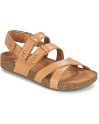 clarks rosilla essex