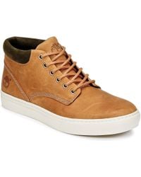 timberland high top trainers