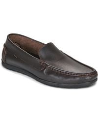 Carlington - Loafers / Casual Shoes Driver - Lyst