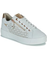 Xti - Shoes (trainers) 142229 - Lyst