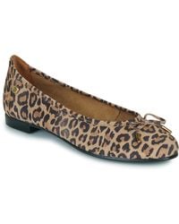 Betty London - Shoes (pumps / Ballerinas) Violette - Lyst