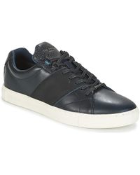 ted baker quana trainers