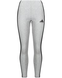 adidas - Tights Essentials 3-stripes Cotton Leggings - Lyst