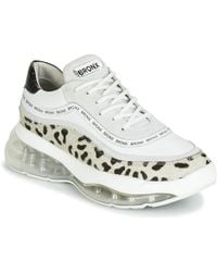 bronx bubble trainers