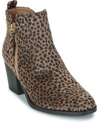 Xti - Low Ankle Boots 144648-taupe - Lyst