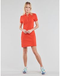 Lacoste dress uk Clearance