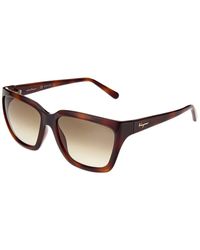 Ferragamo Sf1018s 59mm Sunglasses - Brown