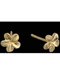 Italian Gold - 14k Petite Flower Studs - Lyst