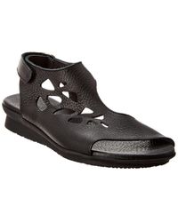 arche shoes new york