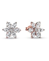 PANDORA - Timeless 14K Rose Plated Cz Sparkling Herbarium Cluster Stud Earrings - Lyst