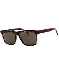 HUGO - Boss 55Mm Sunglasses - Lyst