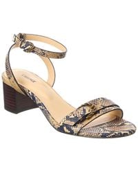 L'Agence - Hughette Snake-Embossed Leather Sandal - Lyst