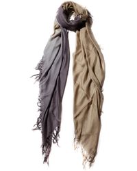 Blue Pacific Tissue Solid Modal and Cashmere Scarf in Antique Moss 