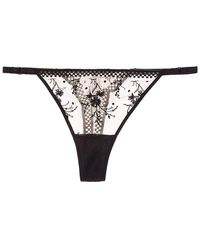 Passionata - Suzy Lace Thong - Lyst