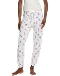 Z Supply - Classic Pup Jogger - Lyst