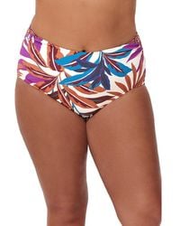 Gottex - Mid Rise Bottom - Lyst