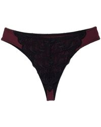 Natori - Persuasion Stretch Lace Thong - Lyst