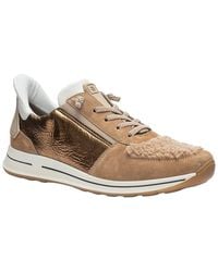Ara - Ovation Suede Sneaker - Lyst