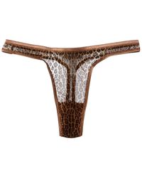 Cosabella - Soire Confidence Classic Printed Thong - Lyst