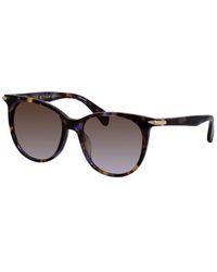 Rag & Bone - Oval Violet Havana Sunglasses - Lyst