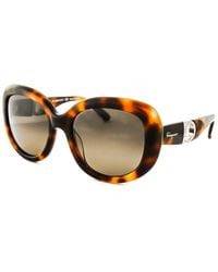 Ferragamo - Sf727s 214 Sunglasses - Lyst
