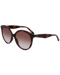 Ferragamo - Sf1071s 58mm Sunglasses - Lyst