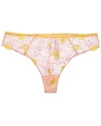 Passionata - Chloe Lace Tanga - Lyst