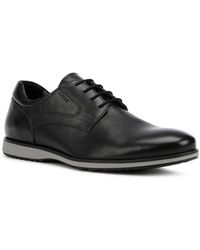 Geox Blainey Leather Shoe - Black