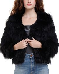 alice and olivia jacket sale