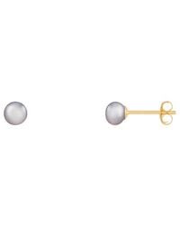 Splendid - 14k 4-5mm Pearl Earrings - Lyst