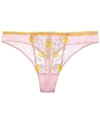 Passionata - Chloe Lace Thong - Lyst