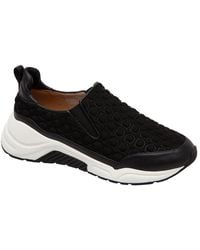 Linea Paolo - Rawson Sneaker - Lyst