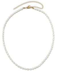 Adornia - 18K Plated Stainless Steel 2Mm Pearl Tarnish-Resistant Seed Strand Necklace - Lyst