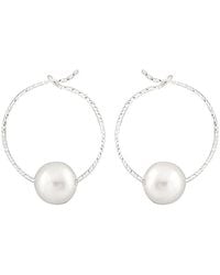 Splendid - Rhodium Plated Silver 8-8.5mm Freshwater Pearl Drop Earrings - Lyst