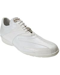belvedere tennis shoes