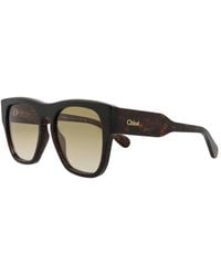 Chloé - Ch0149S 55Mm Sunglasses - Lyst