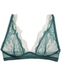 Blush Lingerie Lingerie Mesh Lace Bralette - Green