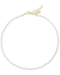 Electric Picks - 14K Plated 2Mm Pearl Tidal Necklace - Lyst