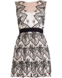 BCBGMAXAZRIA - Sleeveless Scalloped Lace Dress - Lyst