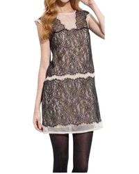 BCBGMAXAZRIA - Organza Lace Sheer Sleeveless Dress - Lyst