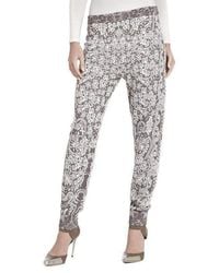 BCBGMAXAZRIA - Alder Relief Jacquard Lace Silk Blend Sweat Pant - Lyst