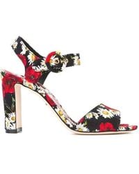 Dolce & Gabbana - Daisy And Poppy Print Sandals - Lyst