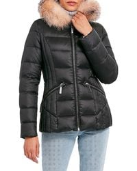 dawn levy puffer jacket