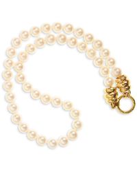 Elizabeth Locke 19k Yellow Gold & 8-8.5mm Freshwater Pearl Necklace - White