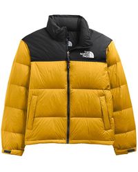 The North Face Down and padded jackets 