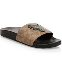 coach slides for men
