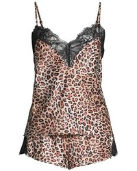 in bloom lingerie
