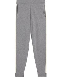 theory sweatpants