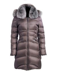 dawn levy coat